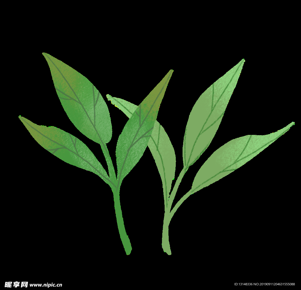 茶