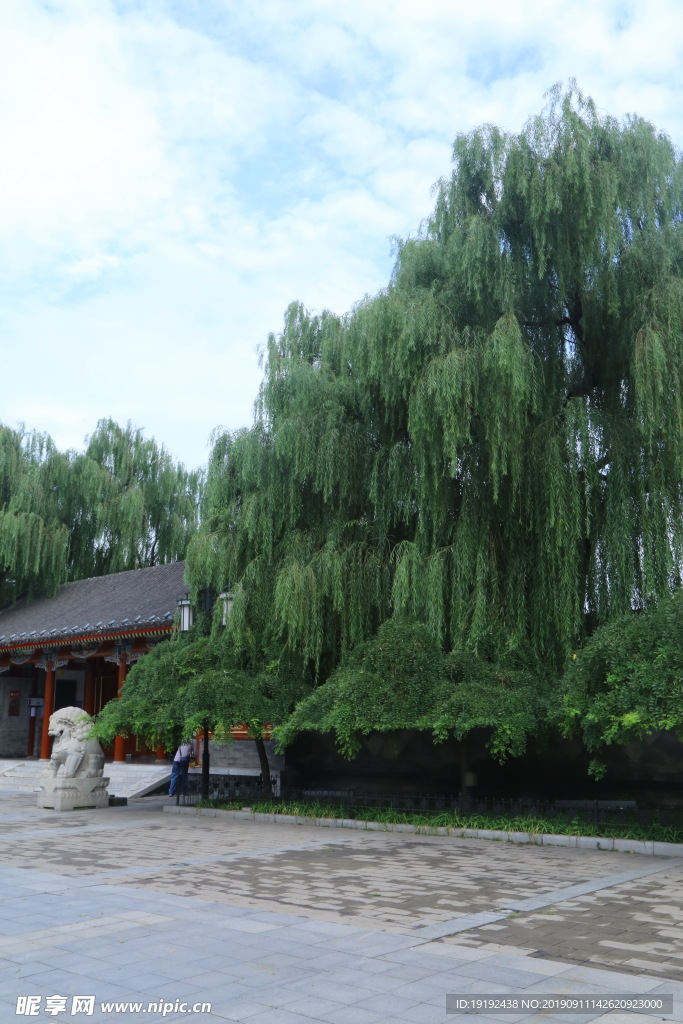 大观园风景