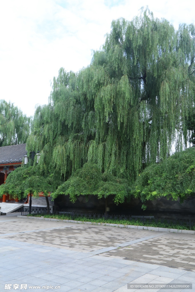 大观园风景
