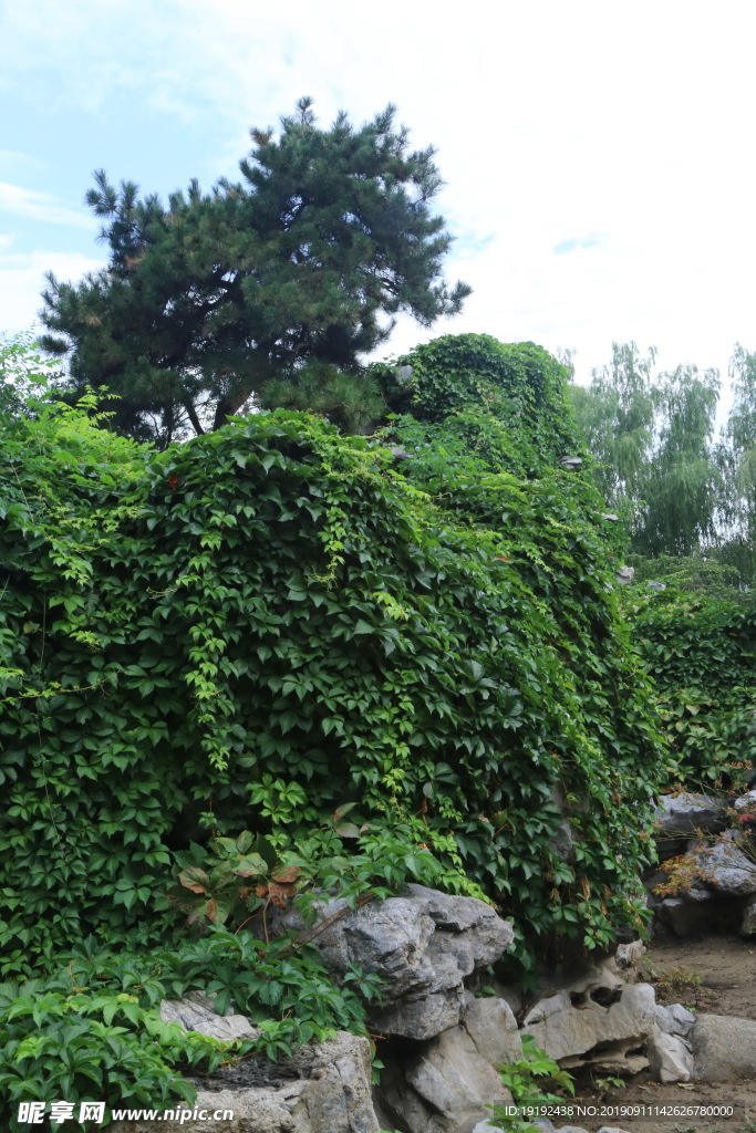大观园风景
