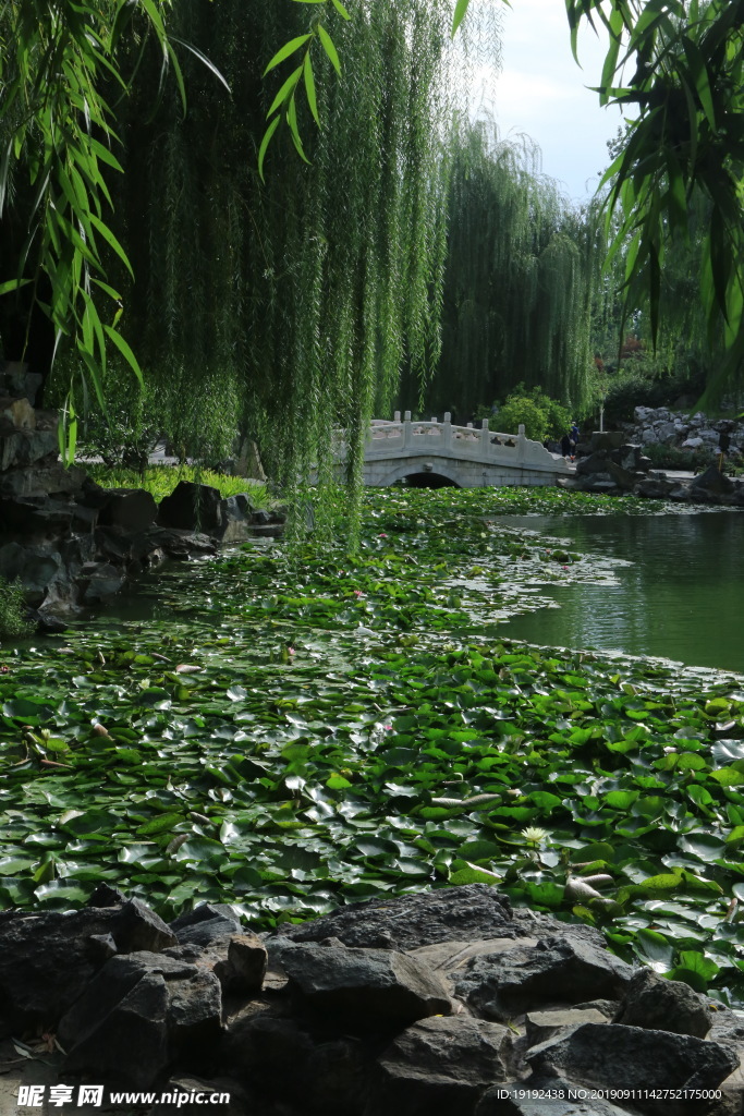 大观园风景