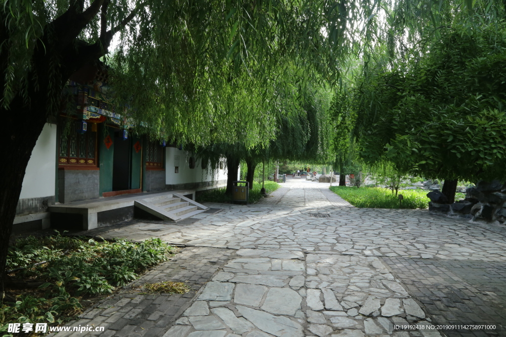 大观园风景