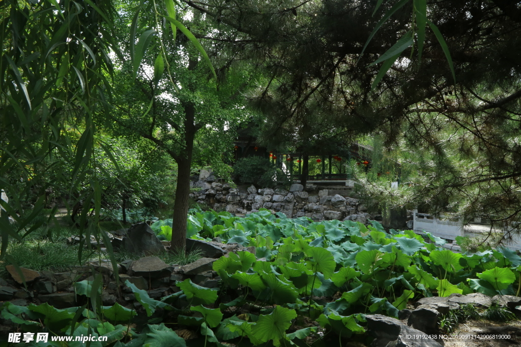 大观园风景