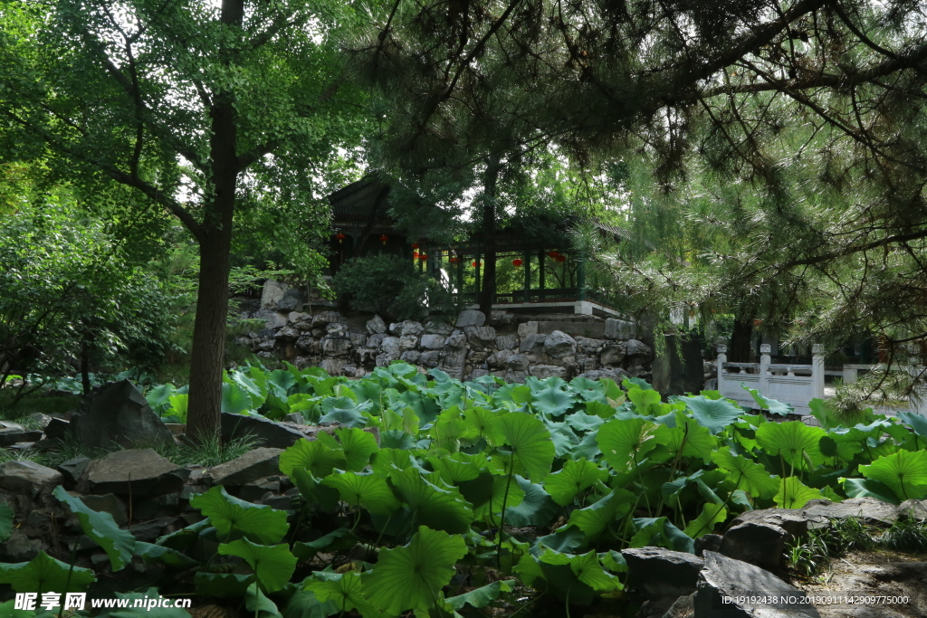 大观园风景