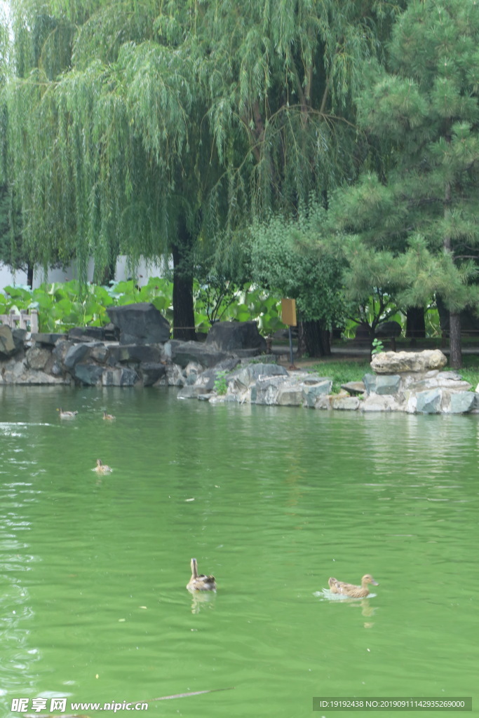 大观园风景
