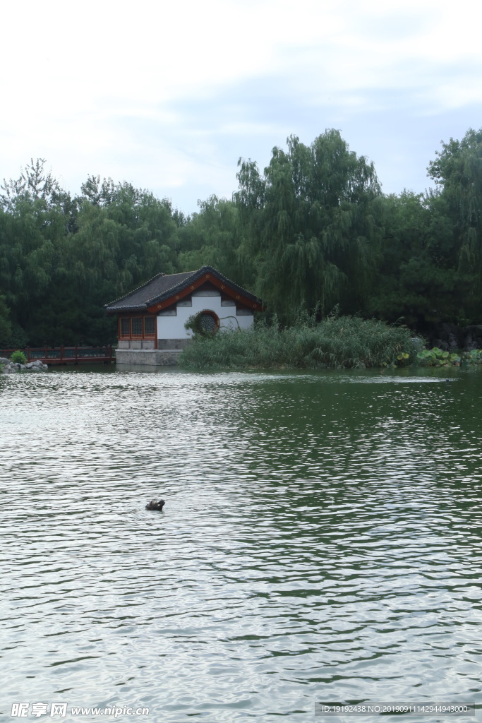 大观园风景