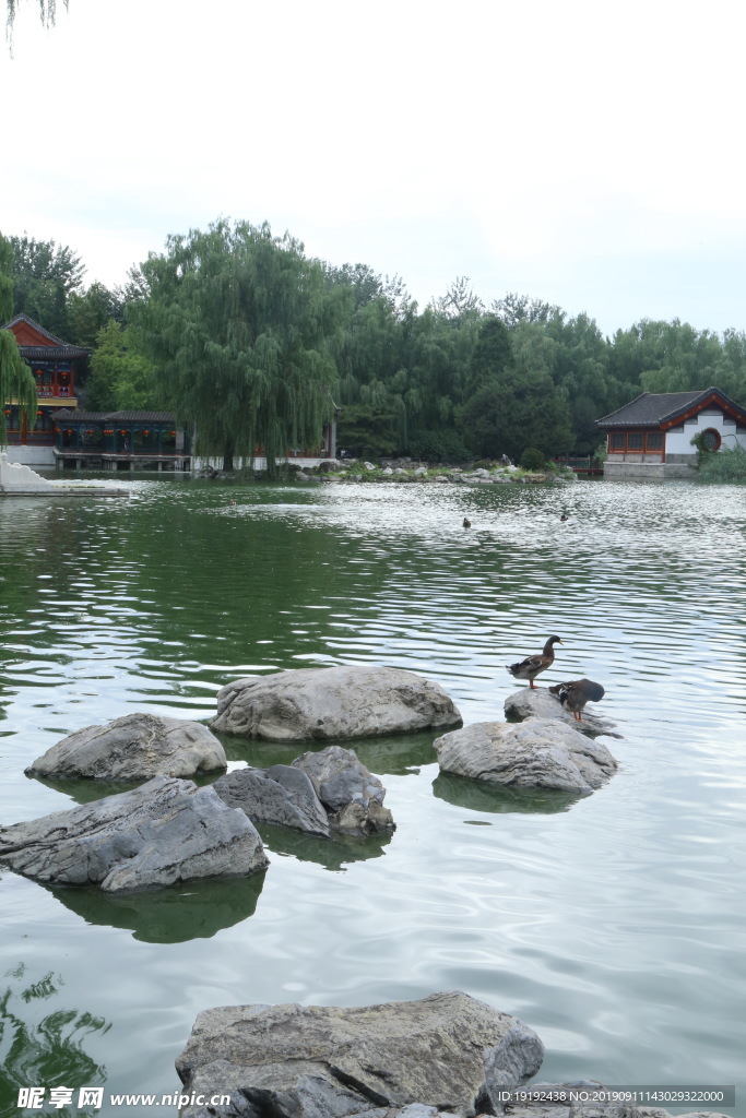 大观园风景