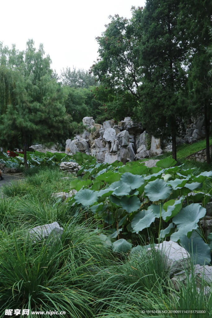 大观园风景