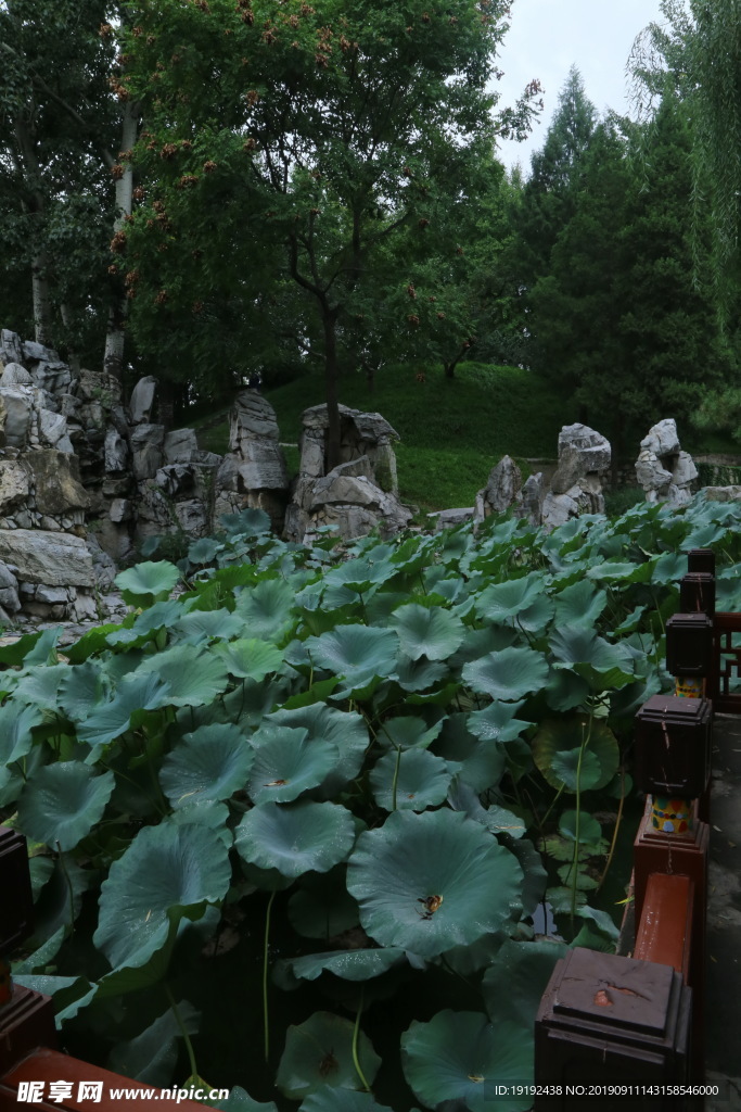 大观园风景