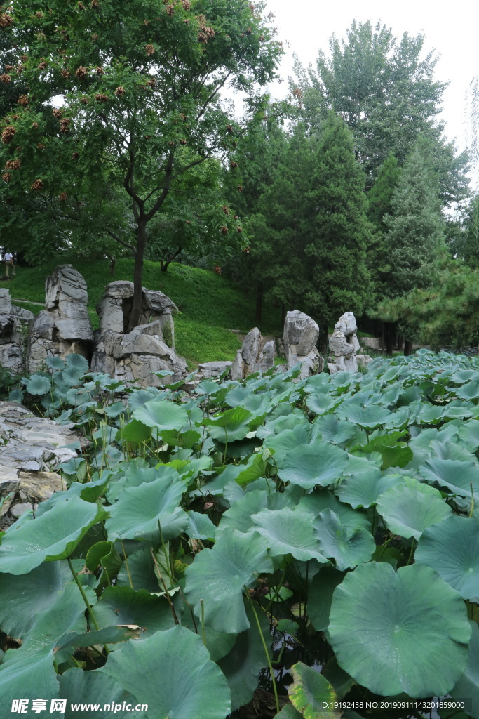 大观园风景