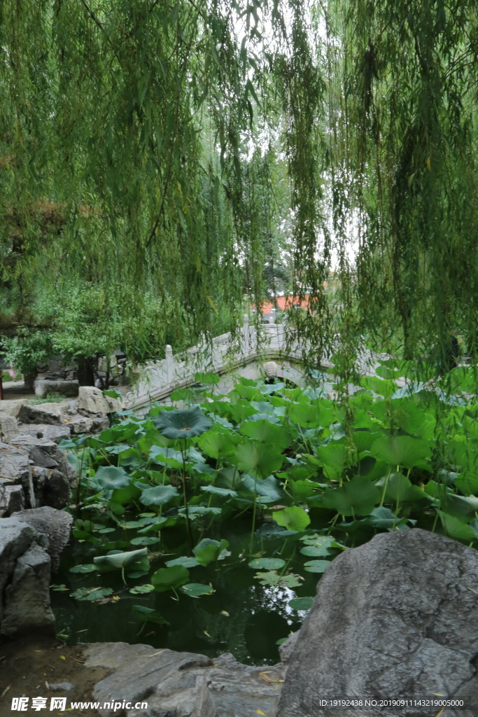 大观园风景