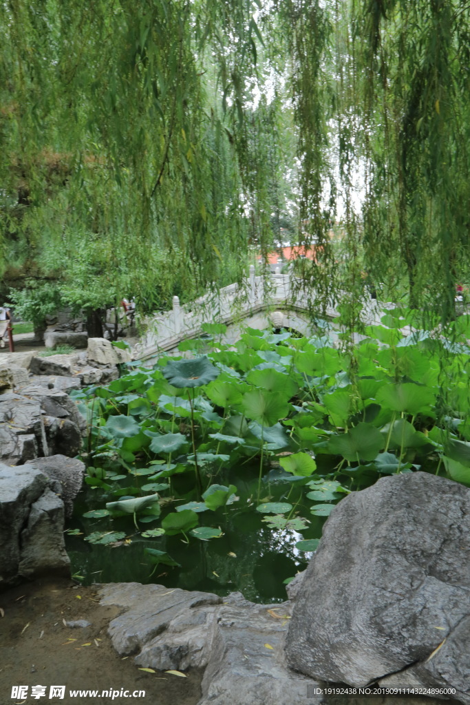 大观园风景