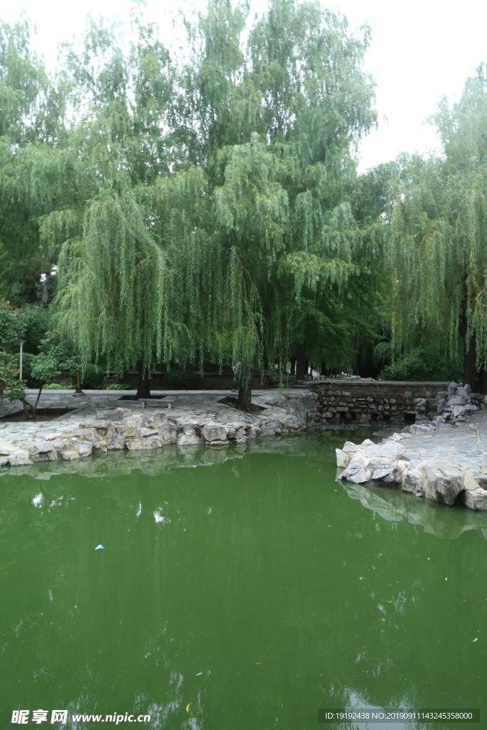 大观园风景