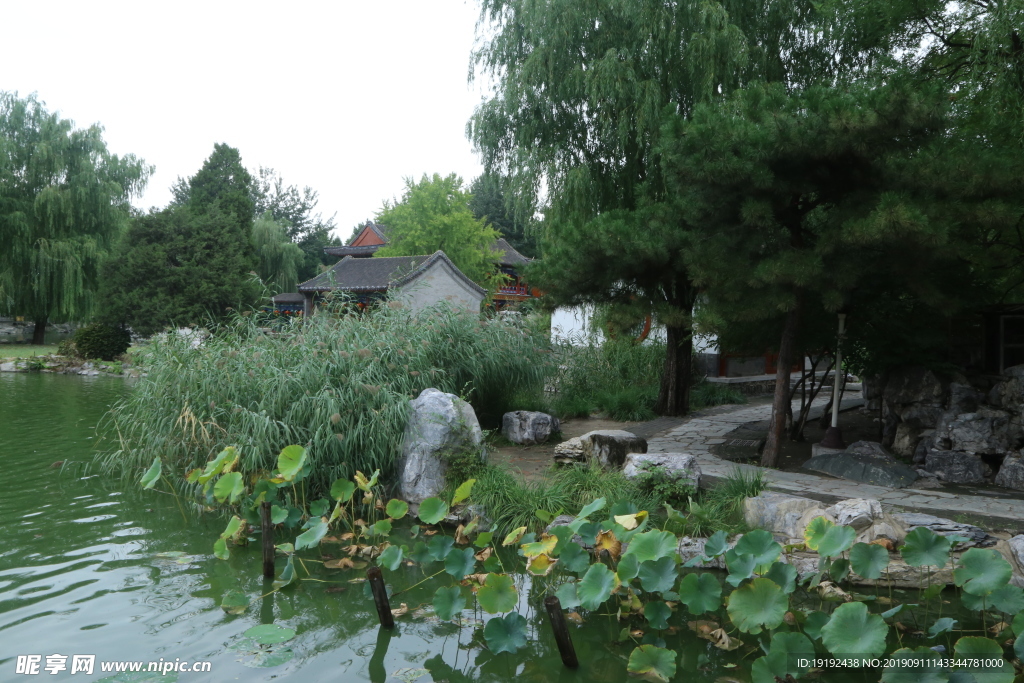 大观园风景