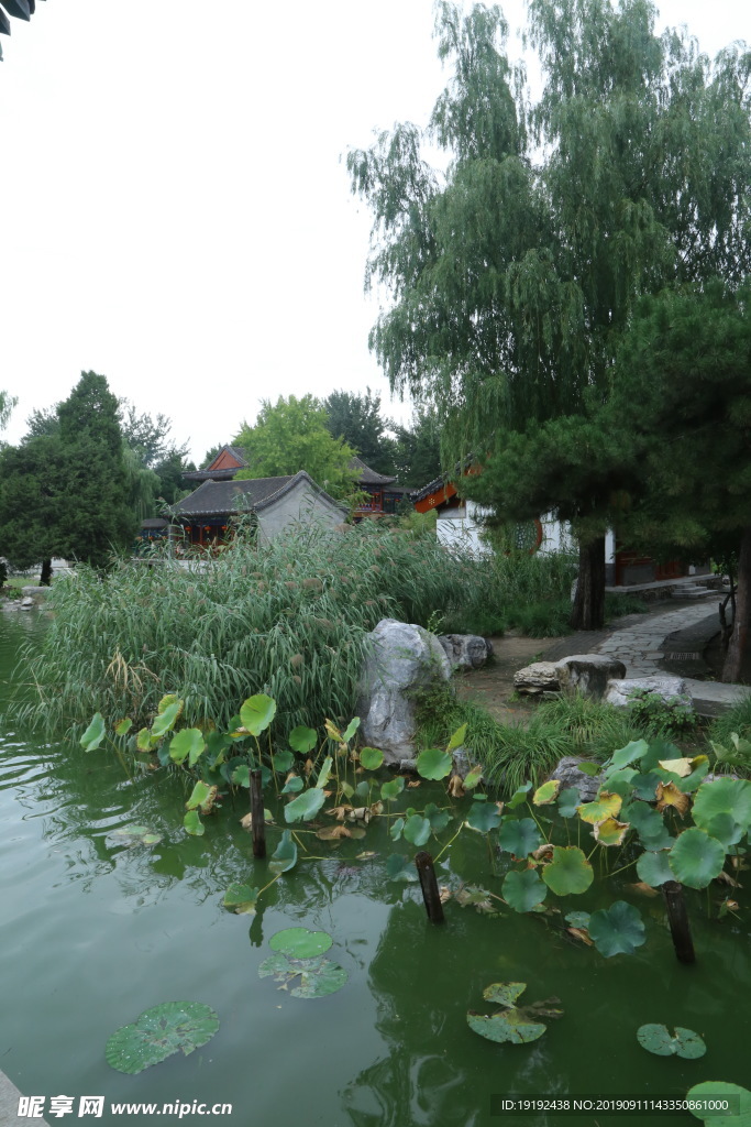 大观园风景