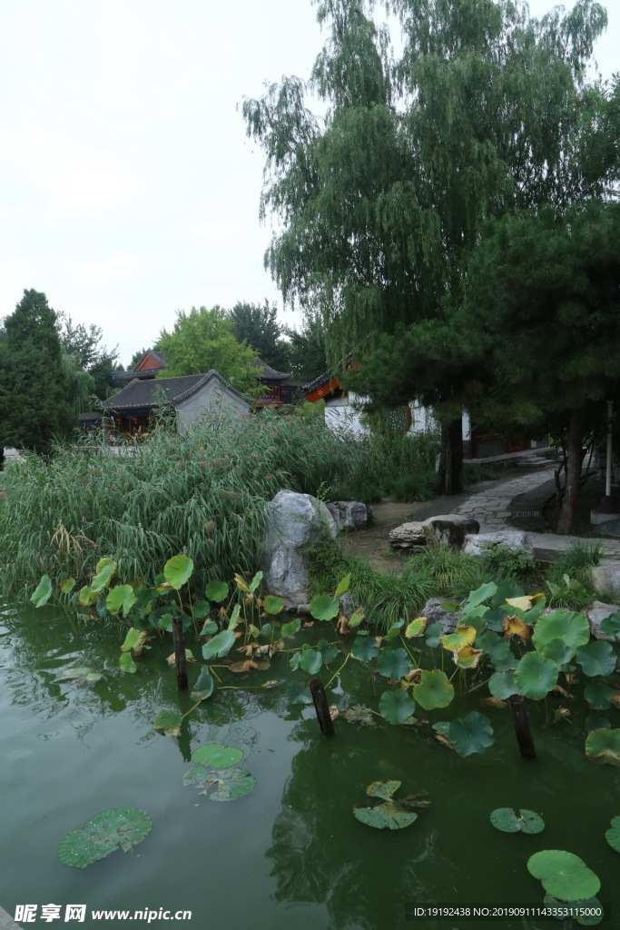 大观园风景