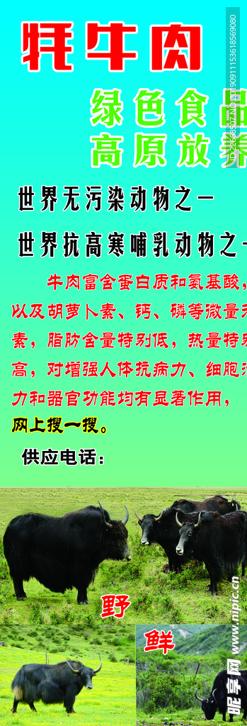 牦牛易拉宝