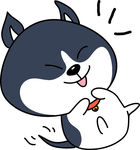 哈肥肥