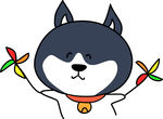 哈肥肥