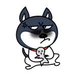 哈肥肥