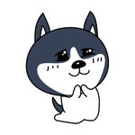哈肥肥