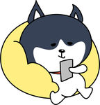 哈肥肥