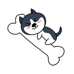 哈肥肥