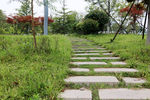 公园小路