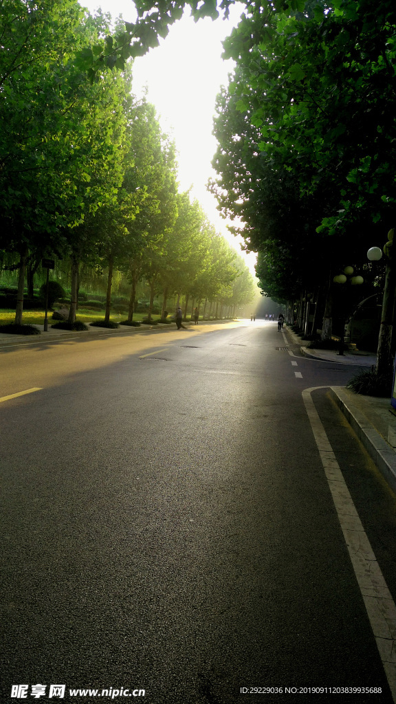 校园道路