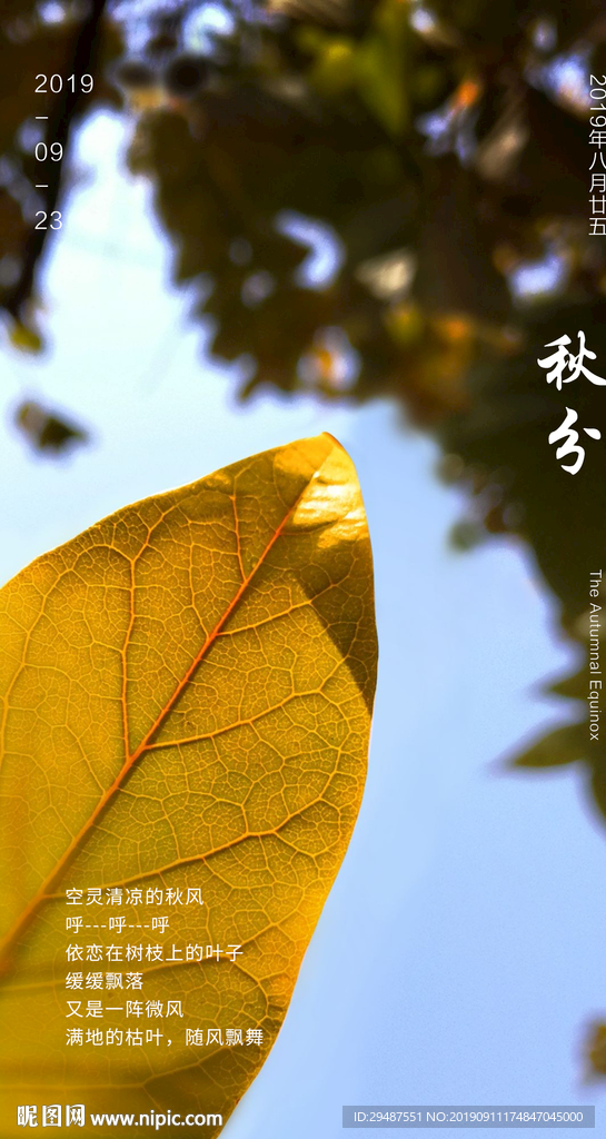 秋分