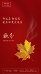 秋分