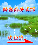 湿地