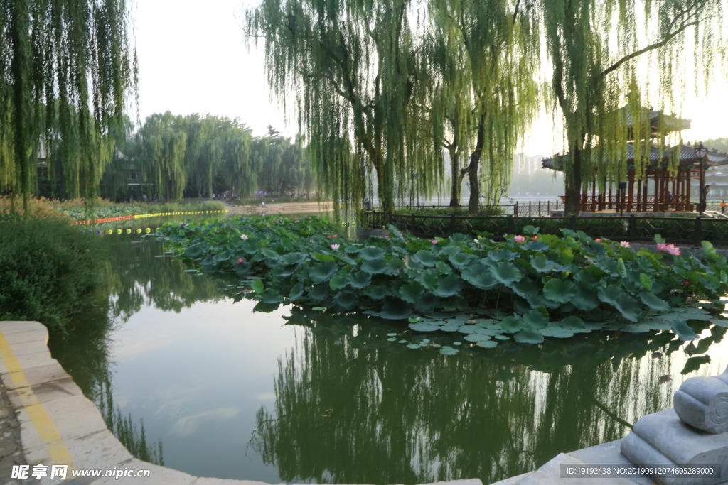 陶然亭风景