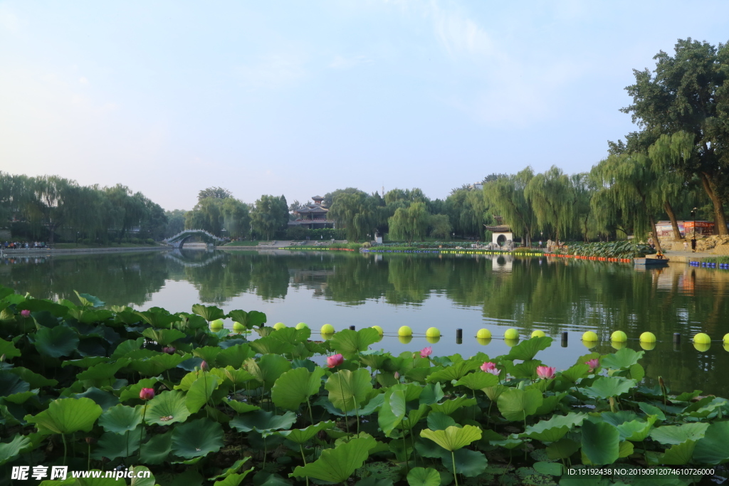 陶然亭风景