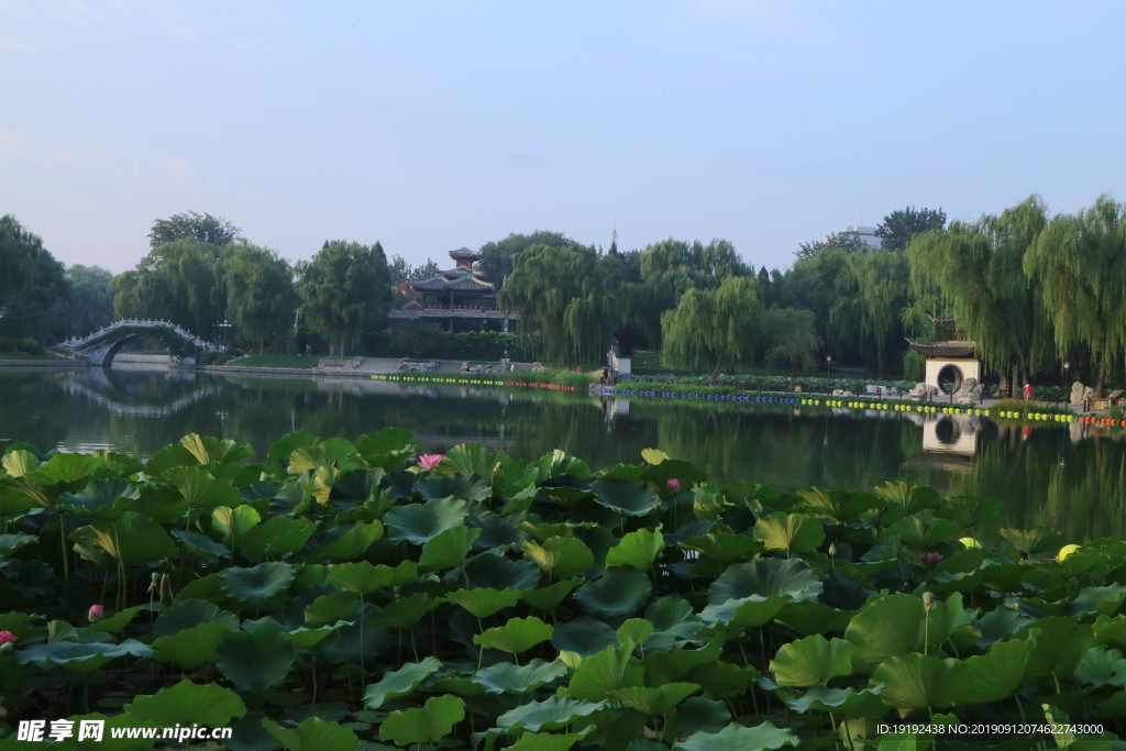 陶然亭风景
