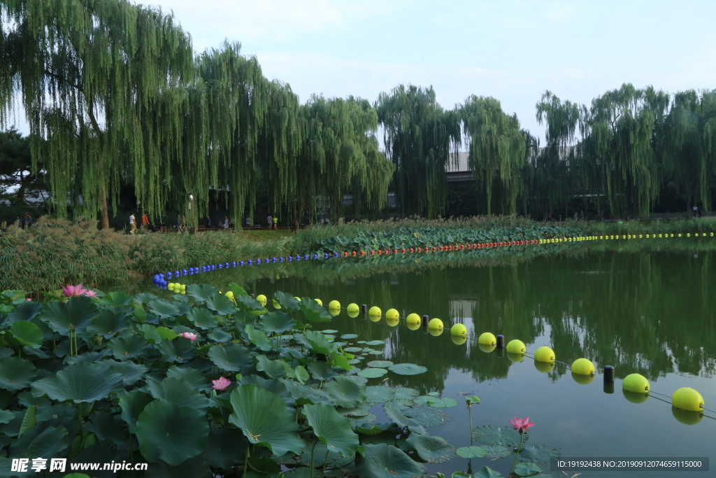 陶然亭风景