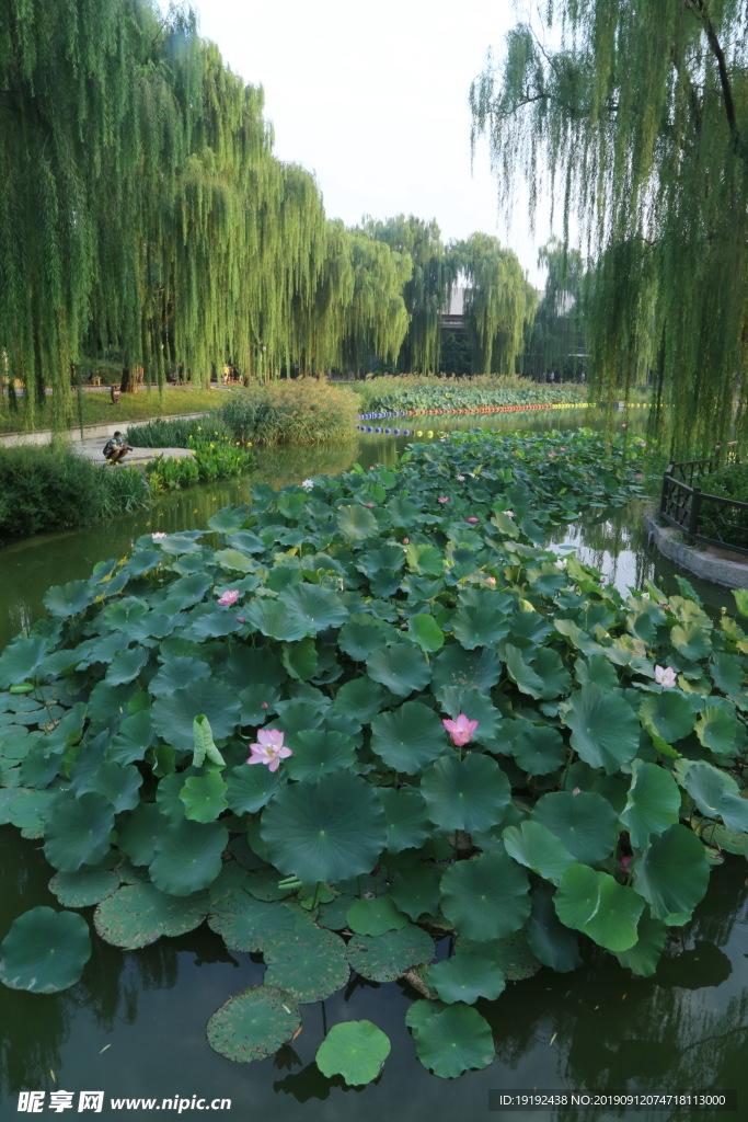 陶然亭风景