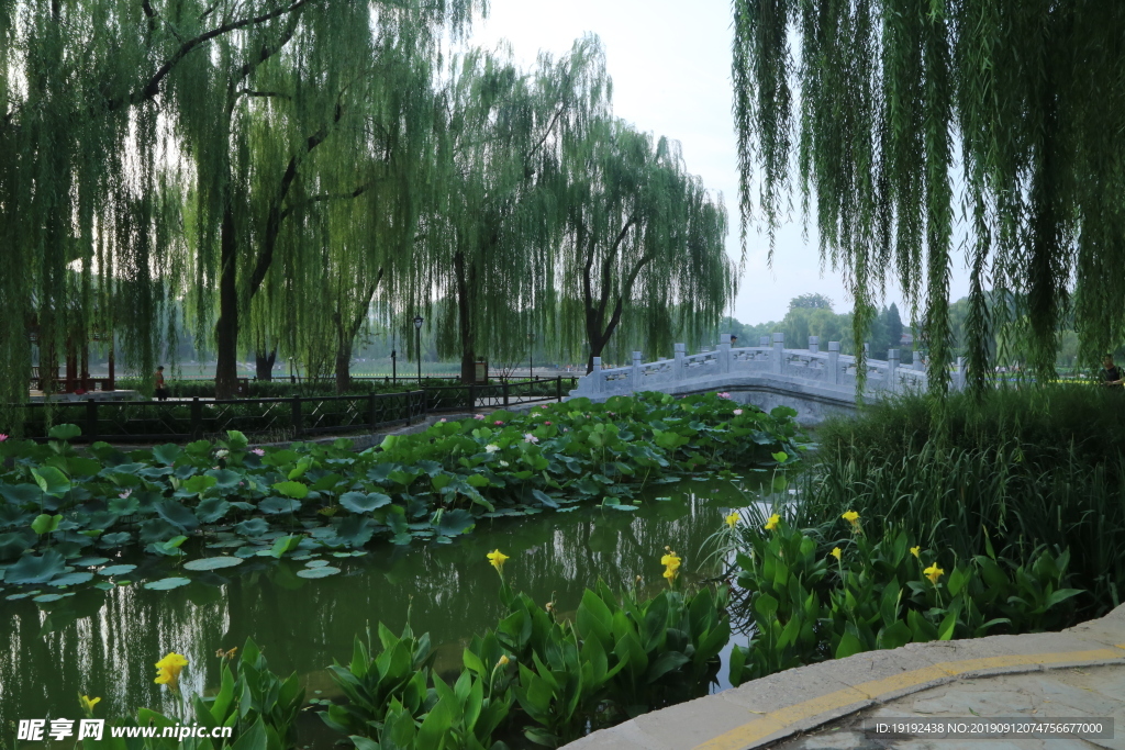 陶然亭风景