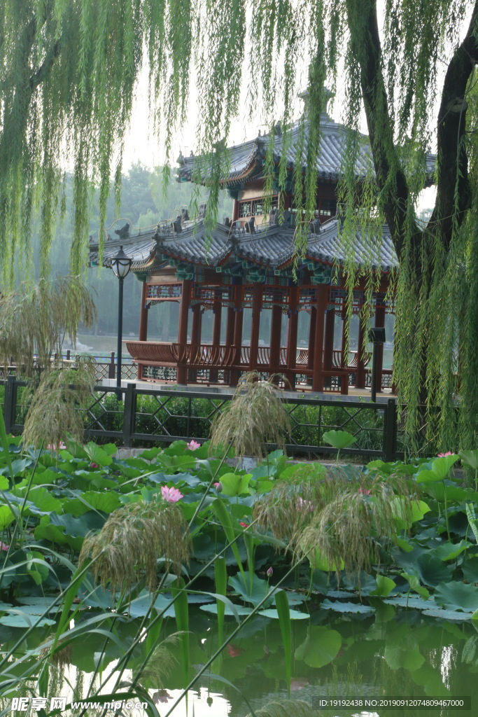 陶然亭风景