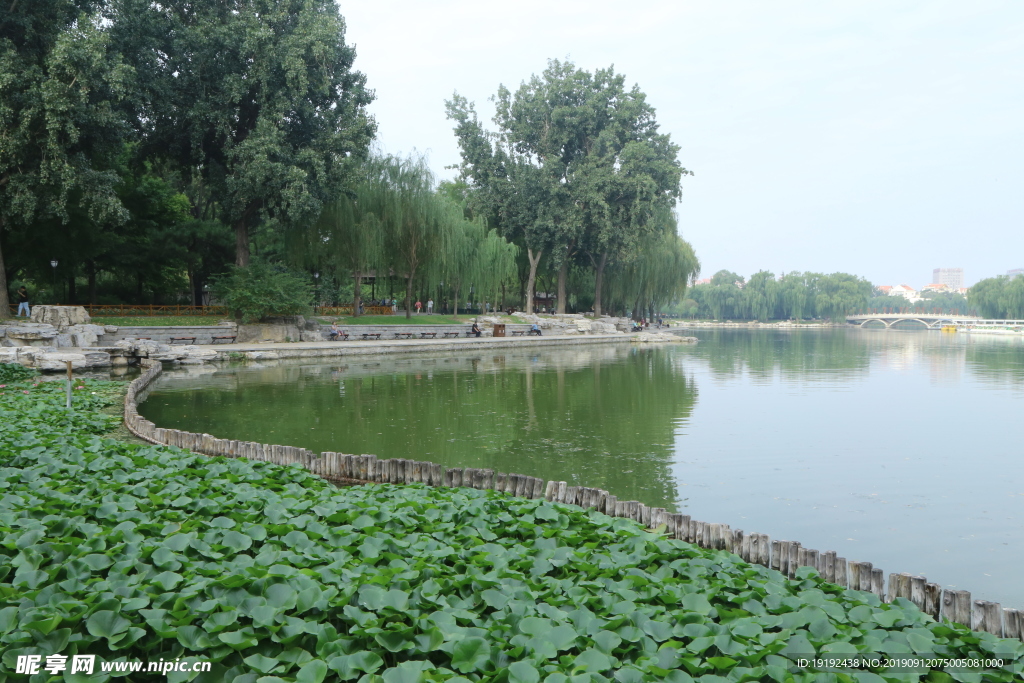 陶然亭风景