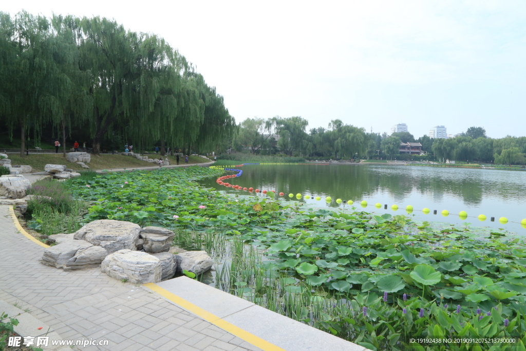 陶然亭风景