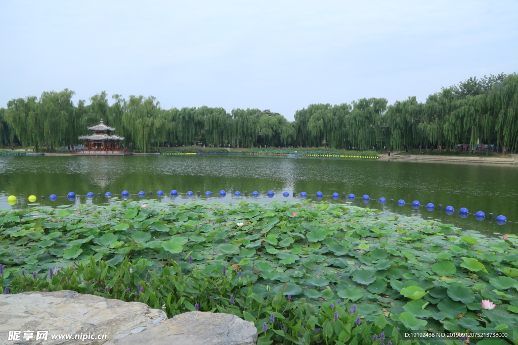 陶然亭风景