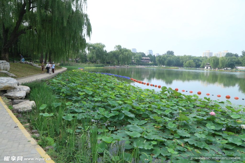 陶然亭风景