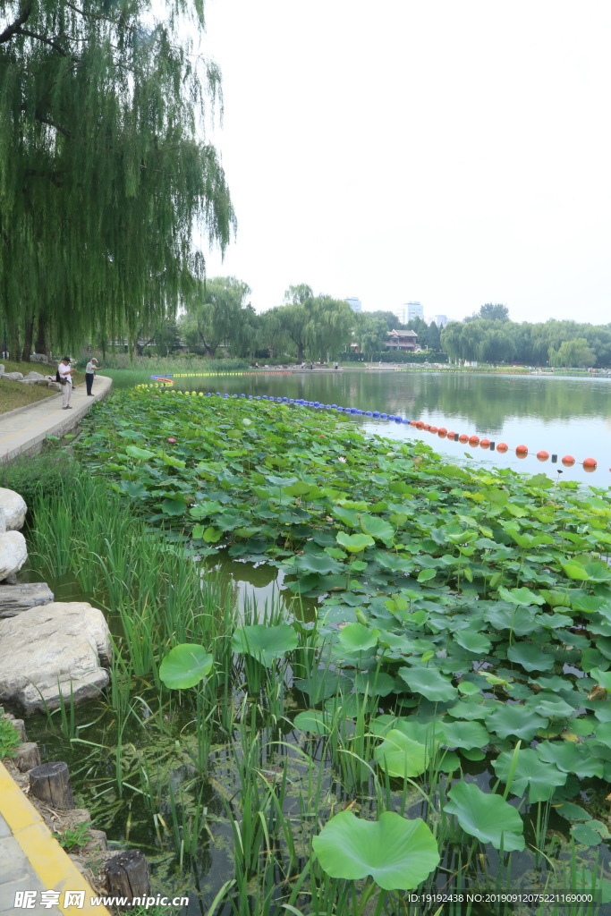 陶然亭风景