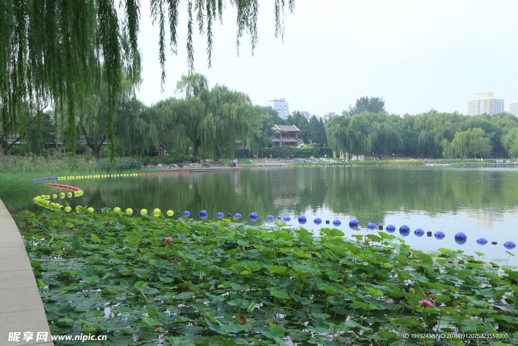 陶然亭风景