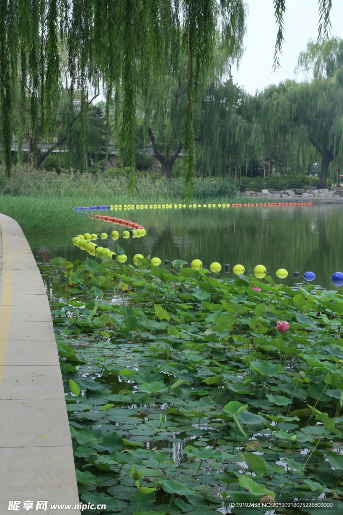 陶然亭风景