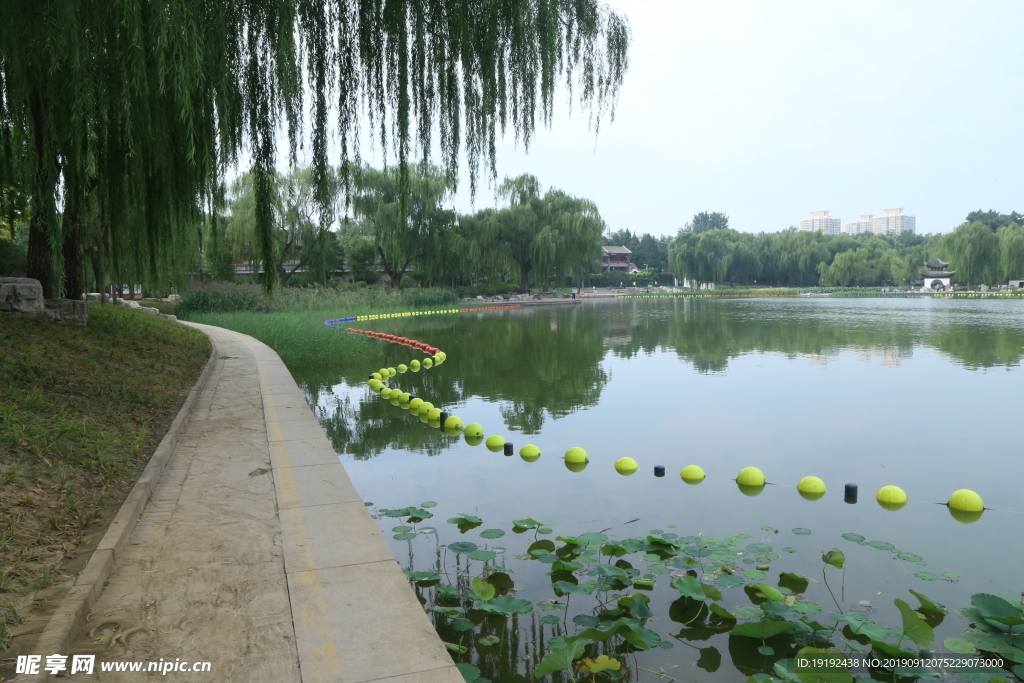 陶然亭风景