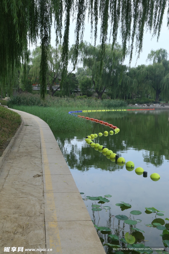 陶然亭风景