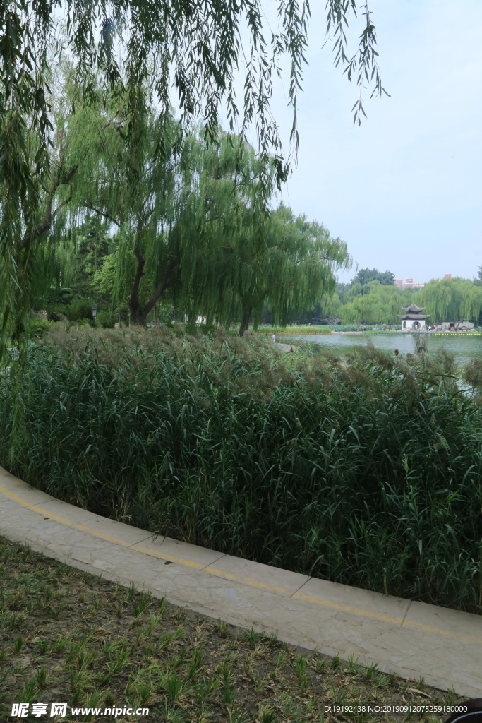 陶然亭风景