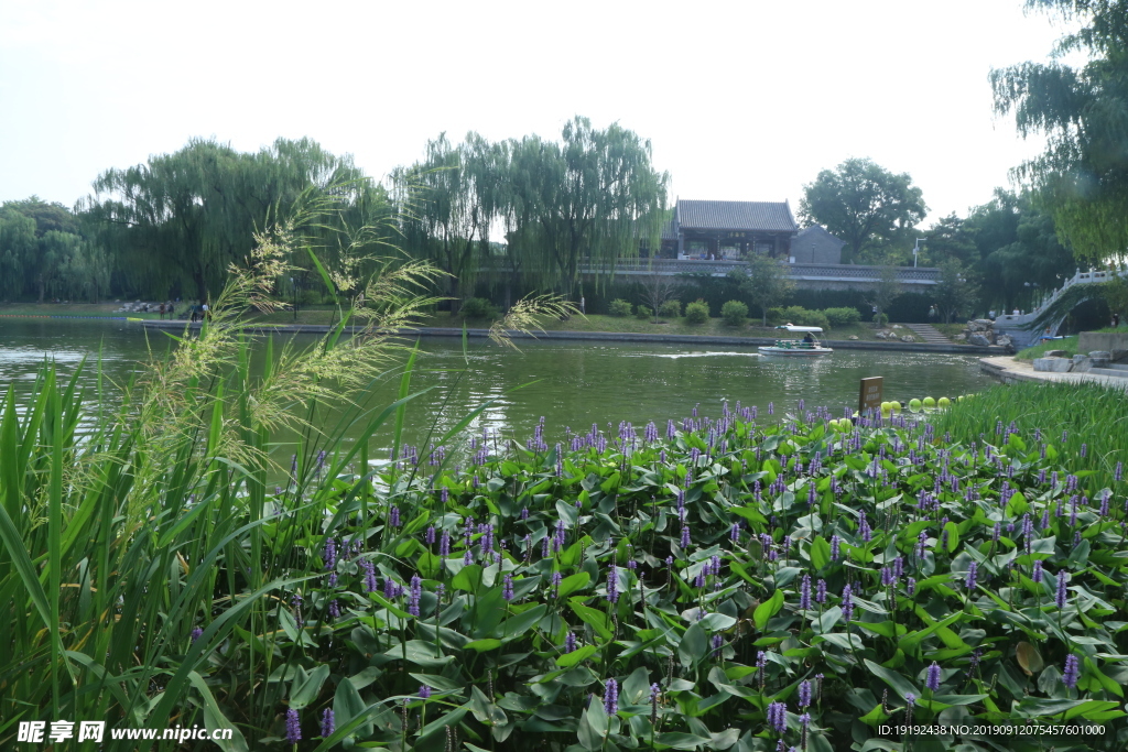 陶然亭风景